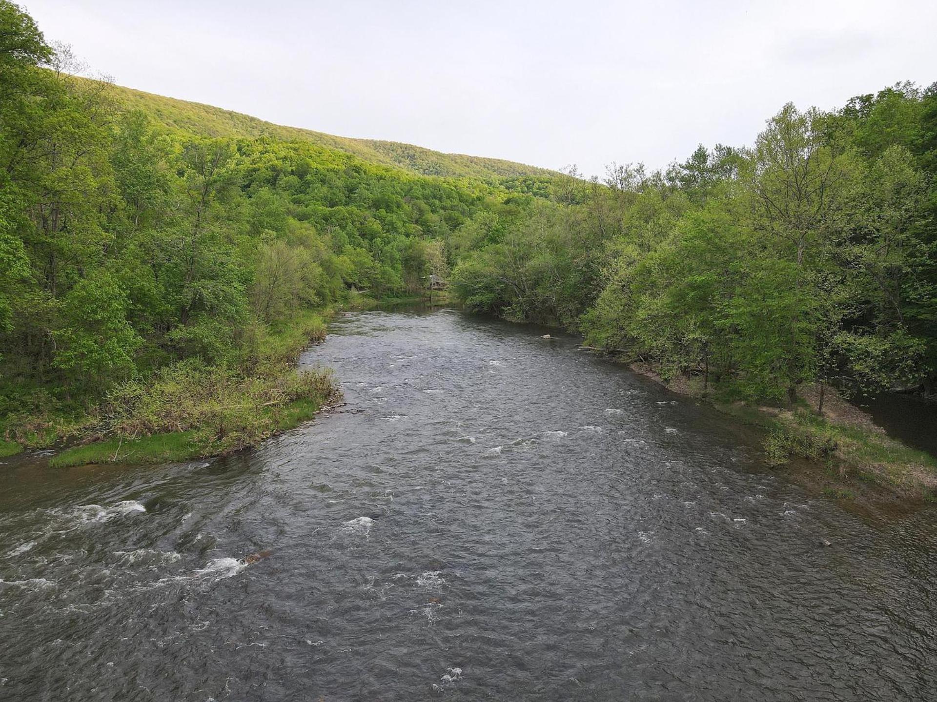 River Walk Cottage - Hot Tub - Pet Friendly - Swing - Screen Porch - River Access - Fire Pit - Wifi - Grill - Deck - King Bed Great Cacapon Екстер'єр фото