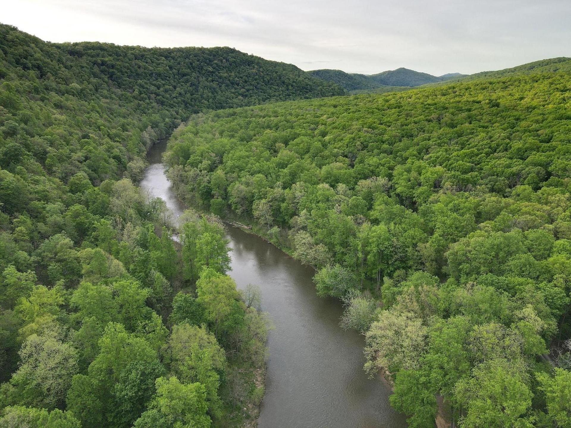 River Walk Cottage - Hot Tub - Pet Friendly - Swing - Screen Porch - River Access - Fire Pit - Wifi - Grill - Deck - King Bed Great Cacapon Екстер'єр фото