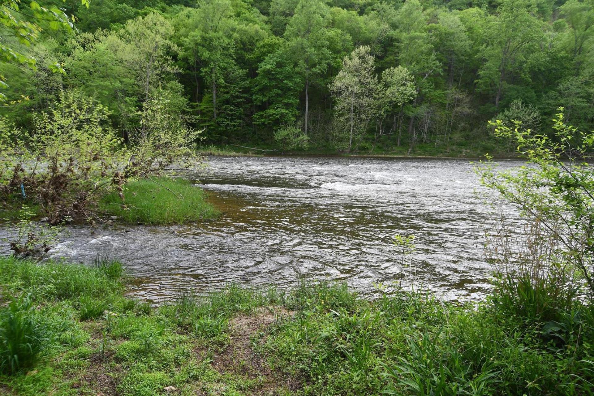 River Walk Cottage - Hot Tub - Pet Friendly - Swing - Screen Porch - River Access - Fire Pit - Wifi - Grill - Deck - King Bed Great Cacapon Екстер'єр фото