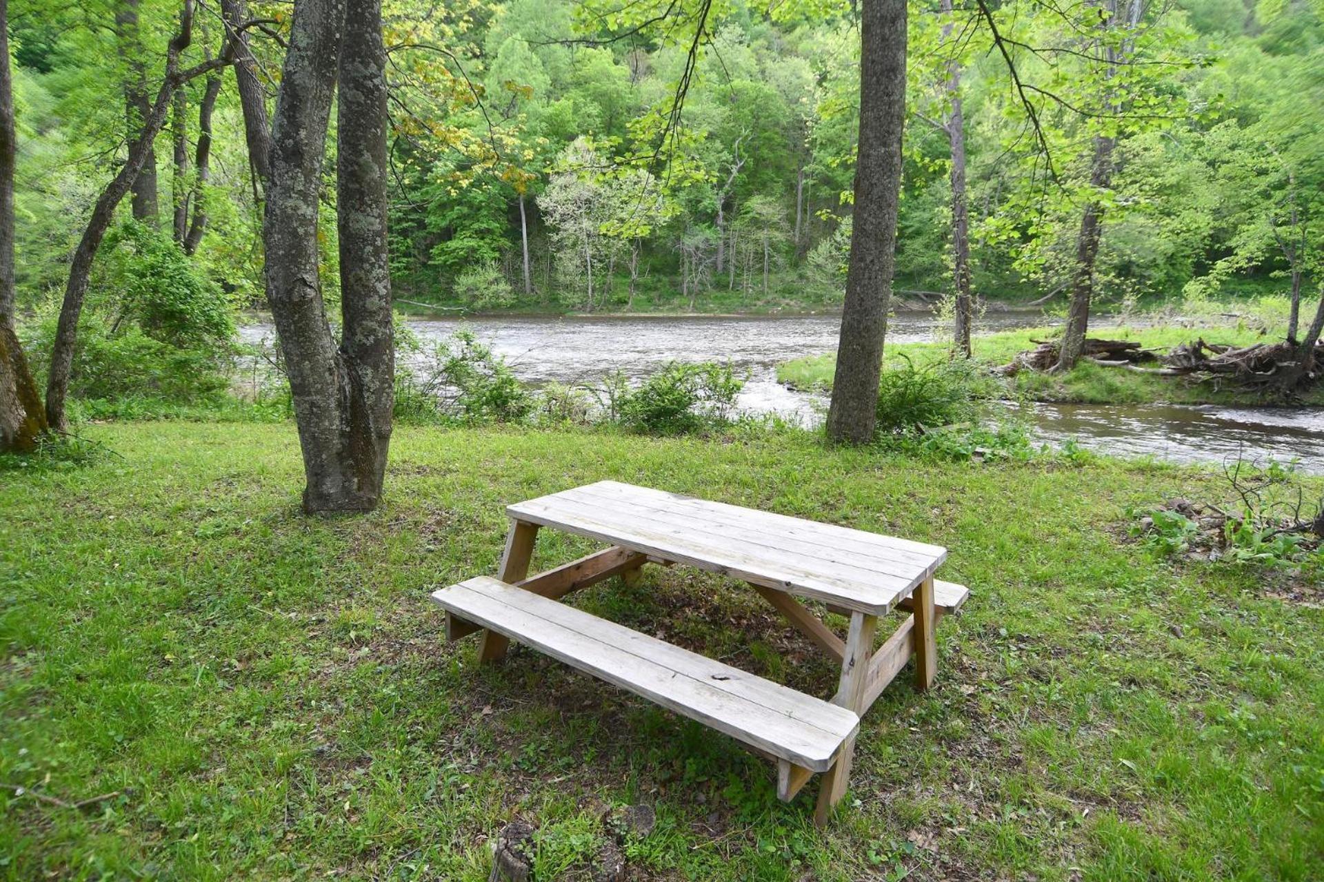 River Walk Cottage - Hot Tub - Pet Friendly - Swing - Screen Porch - River Access - Fire Pit - Wifi - Grill - Deck - King Bed Great Cacapon Екстер'єр фото