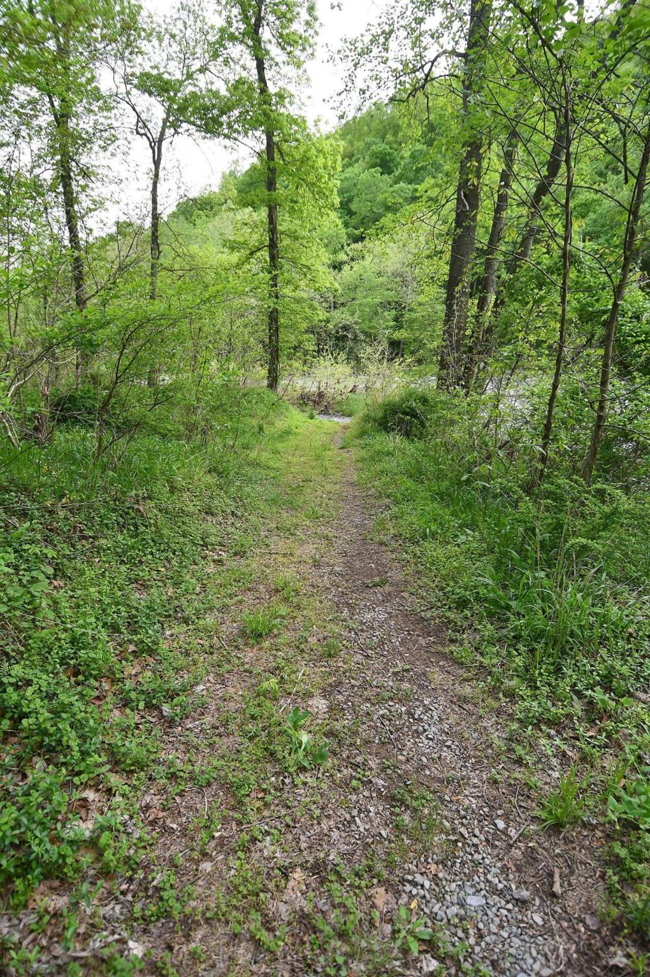 River Walk Cottage - Hot Tub - Pet Friendly - Swing - Screen Porch - River Access - Fire Pit - Wifi - Grill - Deck - King Bed Great Cacapon Екстер'єр фото